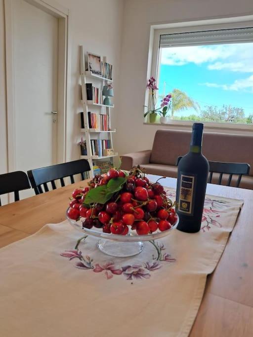 Malia Holiday Villa Конверсано Екстер'єр фото